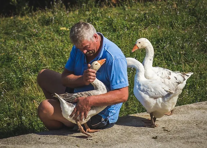 Appartement Marina *