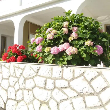 Marina Apartment